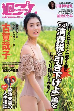 妻乃上将军苏婉